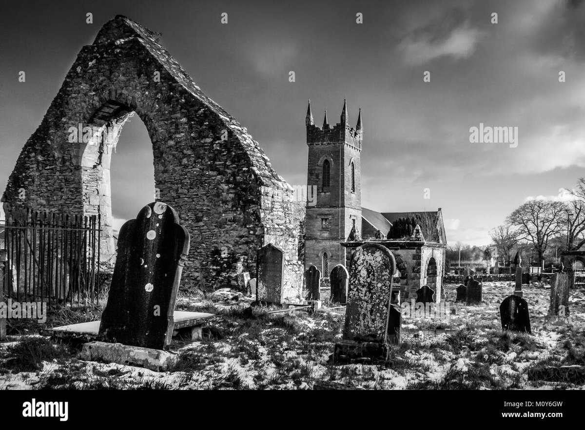 How Old Is Nico Robin In Spy x Family Age Explained